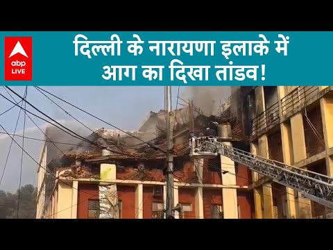 Delhi News: गोदाम में अचानक लगी आग...देखते ही देखते फैल गई चारों तरफ|ABPLIVE