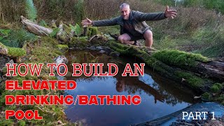 HOW TO BUILD AN ELEVATED BATHING/DRINKING POOL - WILDLIFE MAGNET - HIDE ADDITION