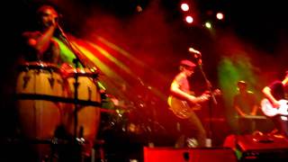 The Black Seeds Rotten Apple -  Live