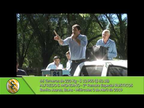 03-04-19 - Venta de Machos - Alfredo S. Mondino - Benito Juarez