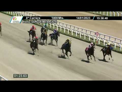 230114 c04 - HANNIBAL LECTER - HIPODROMO LAS PIEDRAS