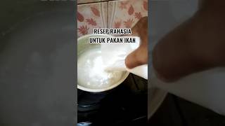 Download lagu Resep rahasia bikin pakan gak pecah/lem pakan ikan.lem perekat pakan alami.tepung topioka/aci mp3