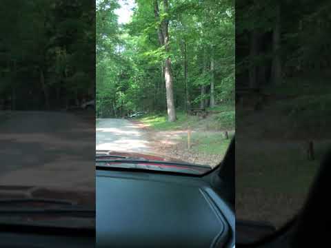 Driving tour of the campground. Part two. The loop.