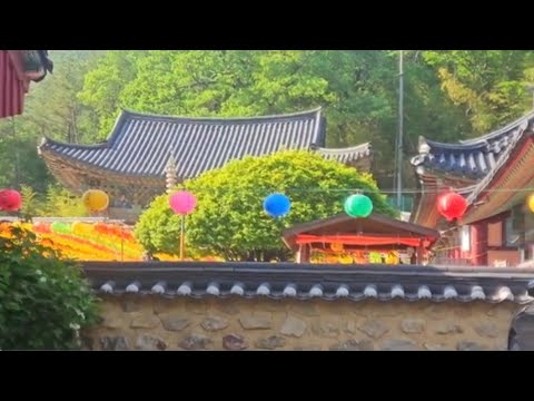 장안사가 유명사찰인이유가 있었네요