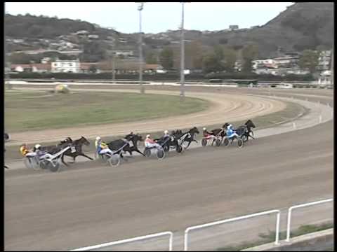 Trotto 16/11/2014 - 3° corsa