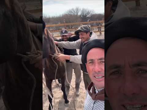 Amilcar unanue en la pampa Argentina 🇦🇷