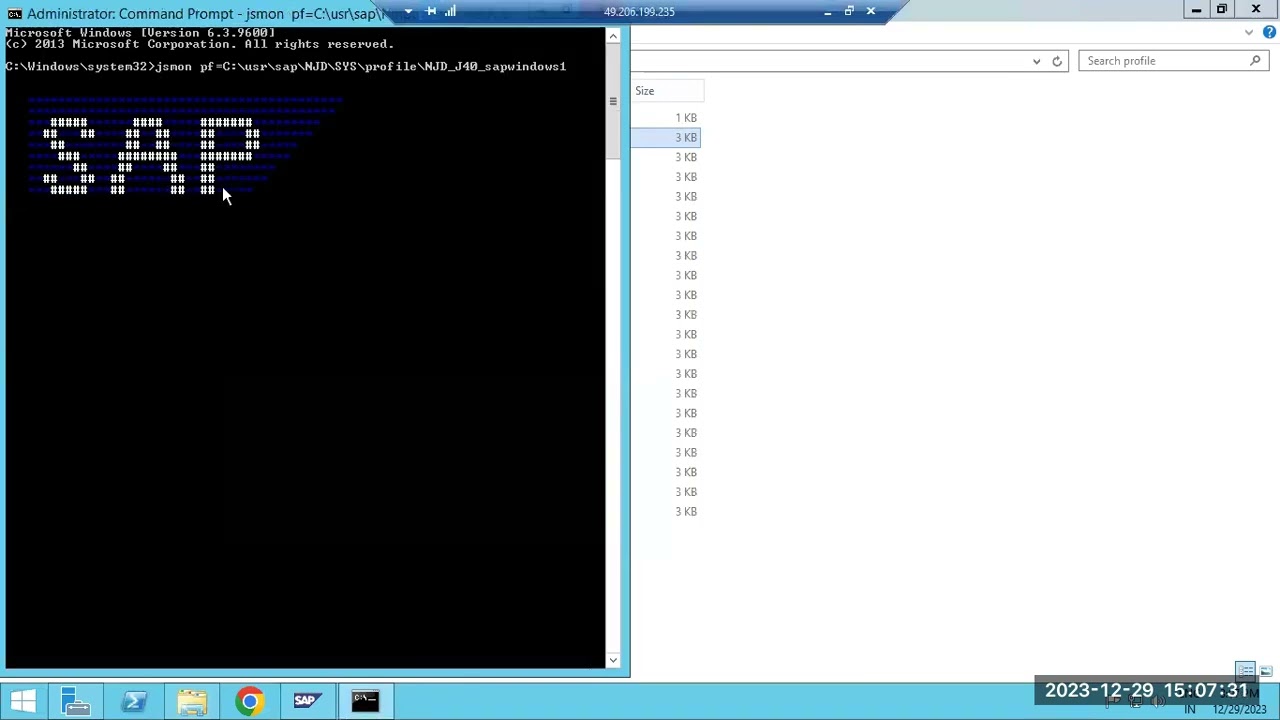 SAP NetWeaver JAVA  NODES RESTART USING JSMON COMMNAD