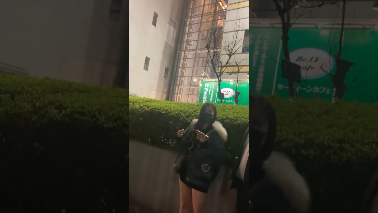 新宿歌舞伎町大久保公園周辺