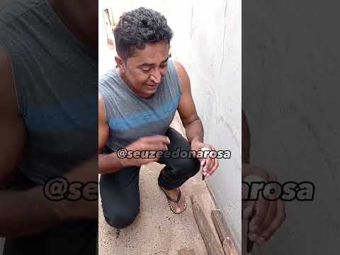 Seu Zé procura problema 😵‍💫#memevideos #viralvideo