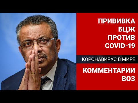 Прививка БЦЖ против COVID-19 – комментарии ВОЗ /Коронавирус в мире (14.04.20)