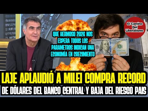 LAJE APLAUDIÓ A MILEI COMPRA RECORD DE DOLARES DEL BANCO CENTRAL Y BAJA DEL RIESGO PAIS HISTÓRICA