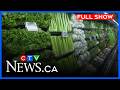 Province meeting with groceries companies | CTV Your Morning Calgary for April 20, 2026