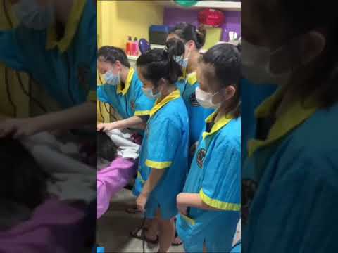 Cat Grooming & Handling Skill