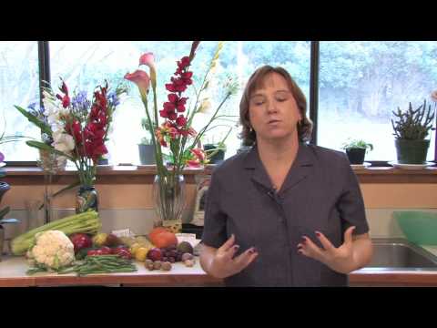 download lagu mp3 mp4 How To Store Chestnuts, download lagu How To Store Chestnuts gratis, unduh video klip How To Store Chestnuts