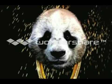 Panda-Itz Dee Da Kidd/Jay Hunter/TrapBoy