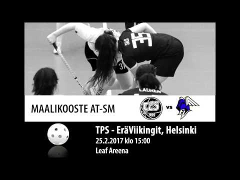 Maalikooste ATSM TPS - EräViikingit 25.2.2017