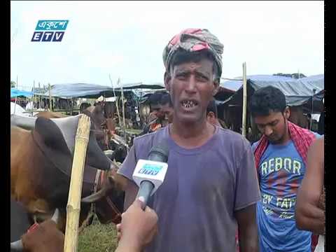 রাজধানীতে আসছে কোরবানীর পশু, ক্রেতা কম