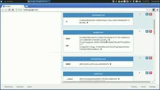 Advanced Cookie Manager extension for Google Chrome introduction and tutorial.