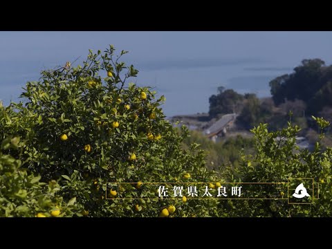 太良町観光PV「太良町Travel」