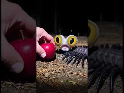 What’s wrong with him?😳