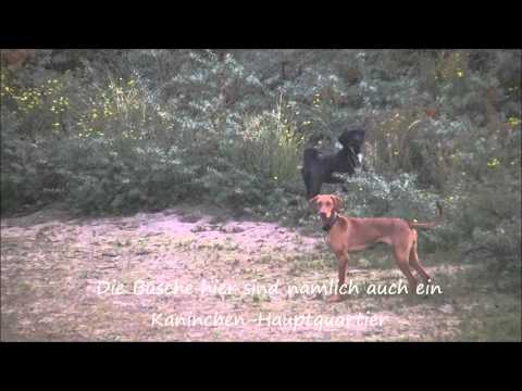 Urlaub in Noordwijk - 3. (und leider letzter) Tag: 4 Oktober 2013