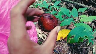 Download lagu MTA NIAS IN FANTASTY//BODYGUAR IN SNIPER JUNGLE mp3 Download lagu MTA NIAS IN FANTASTY//BODYGUAR IN SNIPER JUNGLE mp3