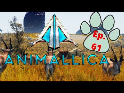 Rhapsody In Blue! - Animallica: Ep 61