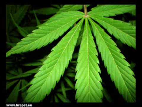 Vitalij Orlov - Rastaman