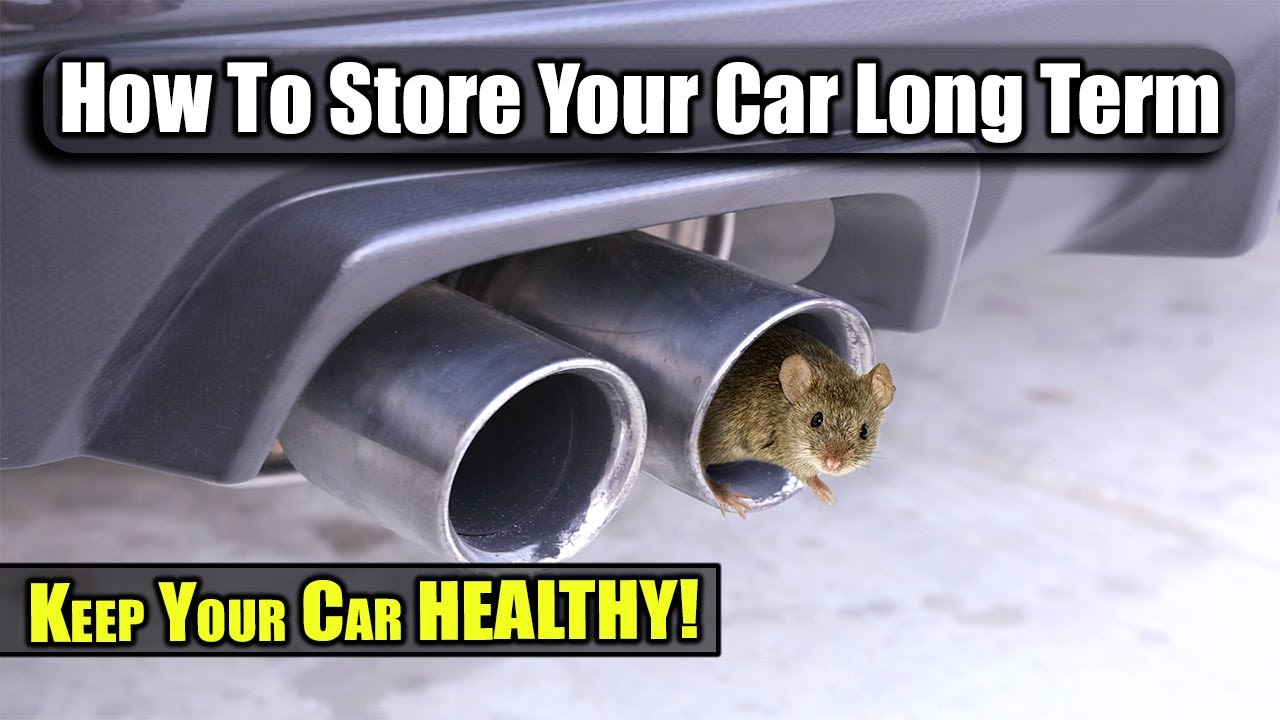 How To Store Your Car Long Term