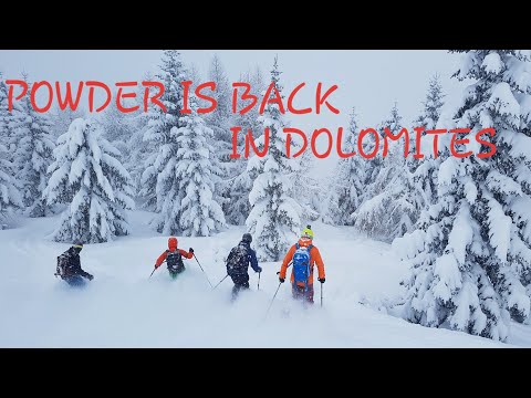 POWDER IS BACK IN DOLOMITES - ARABBA FREERIDE