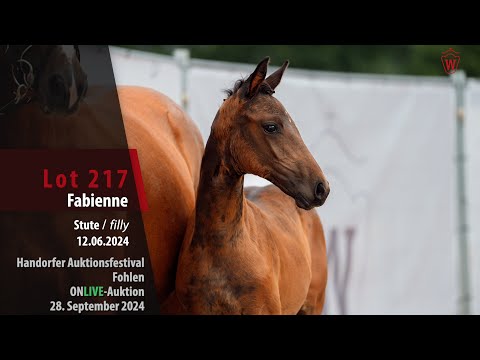 Auktionsfestival Lot 217 Fabienne Stute v. Feliz N - Escamillo