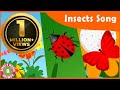 Insects Song for kids | Toddler Rhymes | Educational Songs | Bindi's Music & Rhymes