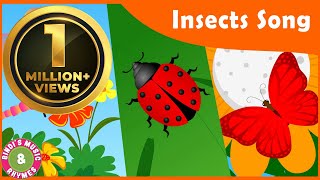 Insects Song for kids | Toddler Rhymes | Educational Songs | Bindi&#39;s Music &amp; Rhymes