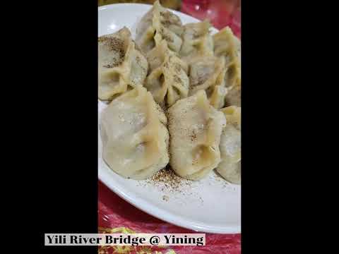 (21) North Xinjiang - Yili River Bridge