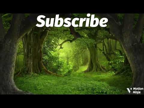 Trinny-Beatz - Peaceful Mind (Official Beat)