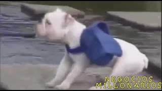 Asegurate de Recorrer el Camino con Quien comparte tu Mismo Sueño...