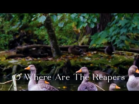 366 SDA Hymnal - O Where Are the Reapers? (Singing w/ Lyrics)