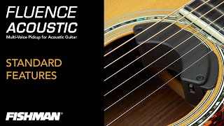 Fishman Fluence Acoustic Rock Icon - Video