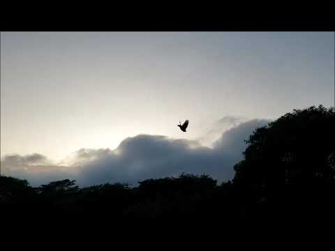 Brian Blade Fellowship (feat. Kurt Rosenwinkel) Village Vanguard (2008 I)