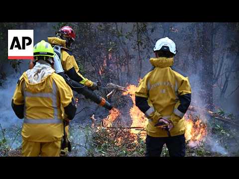 Video Thumbnail: Firefighters in France set controlled burns to keep wildfires at bay