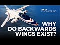 Why Do Backwards Wings Exist