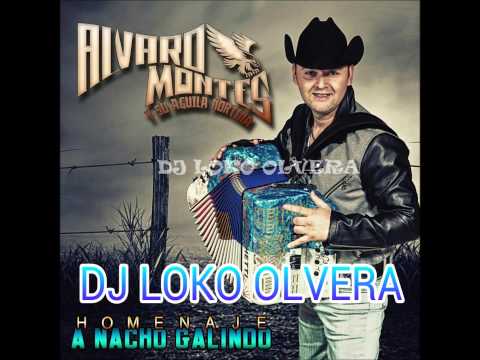 download lagu mp3 mp4 Alvaro Montes Homenaje A Nacho Galindo, download lagu Alvaro Montes Homenaje A Nacho Galindo gratis, unduh video klip Alvaro Montes Homenaje A Nacho Galindo