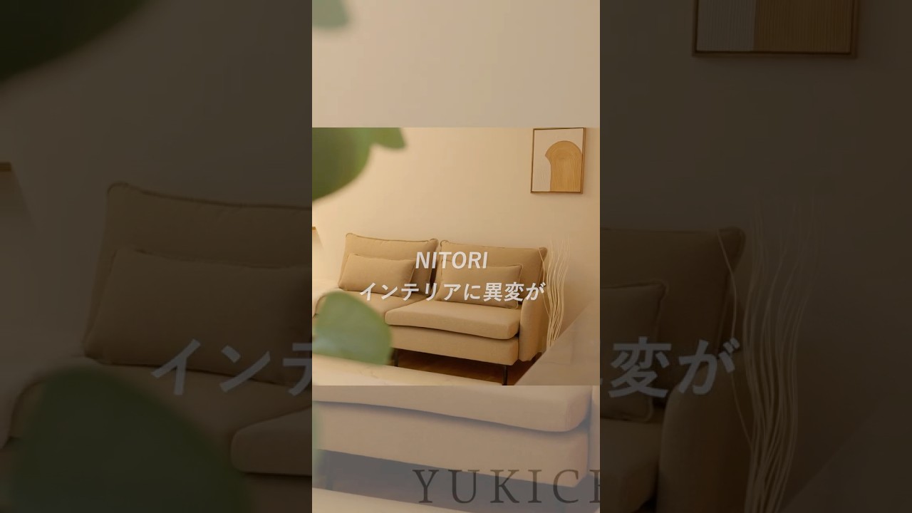 【あのニトリに異変が】ニトリのアイテムで実現するオシャレリビング｜コーディネートのコツを解説