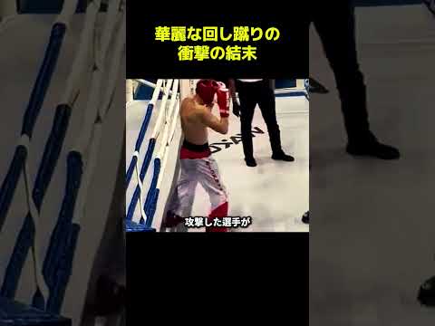 華麗な回し蹴りの衝撃の結末
