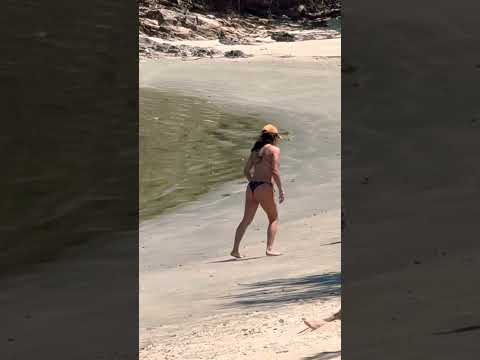 São Sebastião litoral norte de São Paulo #beach #shorts