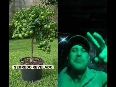 20 de julho de 20everdadi SPC ocotrim ojarineiro di senador Canedo go 🤠26
