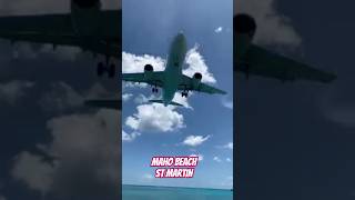 Maho Beach Lets You Swim With Airplanes #shorts #travel #stmaarten