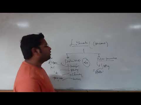 Java Fundamentals In Hindi 7 Literals in Java With Its Type