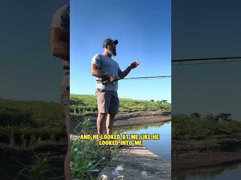 Mega Mule Bus Tour - Final thoughts
