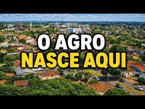 PANAMBI, HORIZONTINA E TRÊS DE MAIO: O AGRO NASCE AQUI